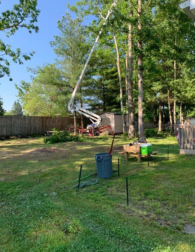 Backyard with aerial lift on it — Daniels, WV — Mastiff Lawn & Tree Care