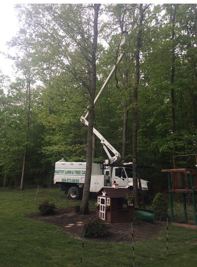 Truck with lift next to miniature house — Daniels, WV — Mastiff Lawn & Tree Care