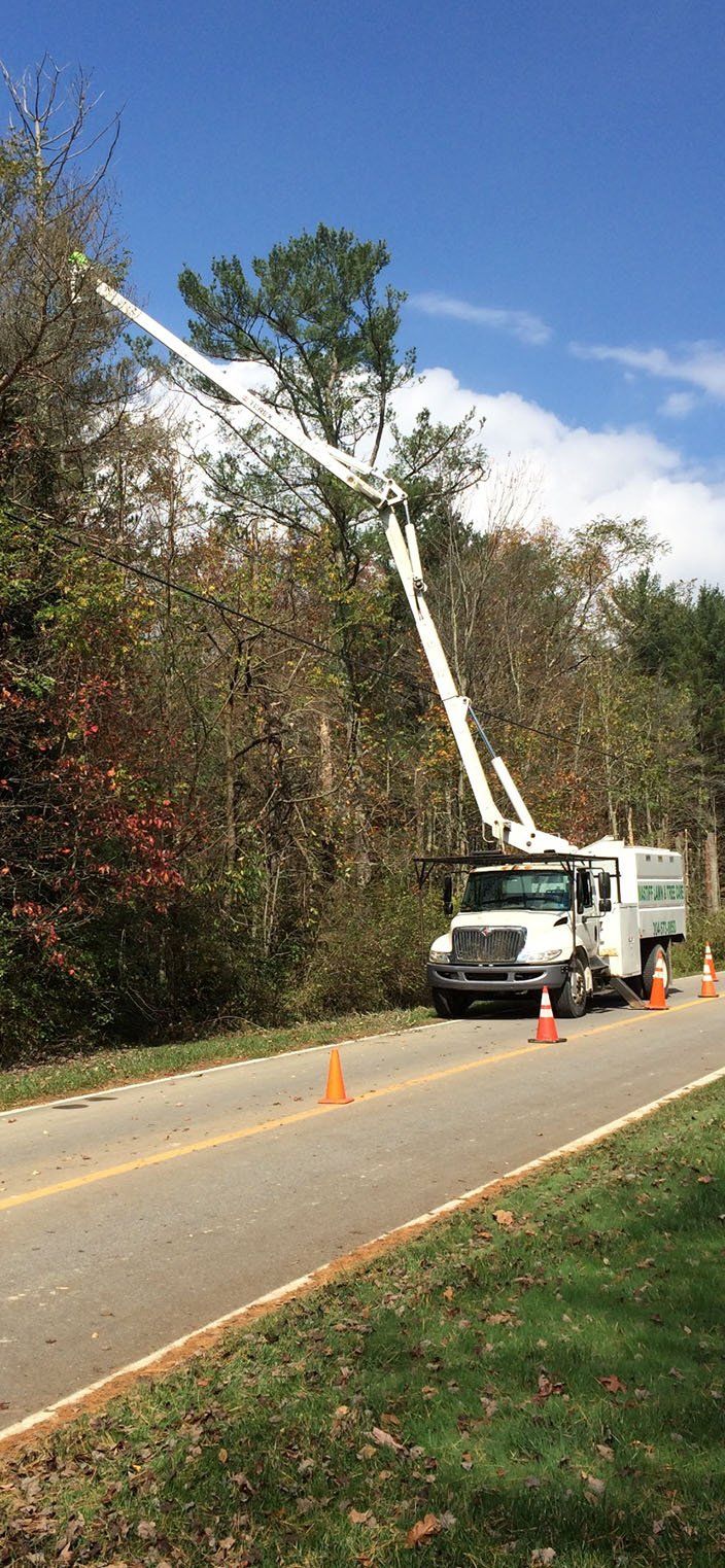Truck with lift holding person on trees next to road — Daniels, WV — Mastiff Lawn & Tree Care