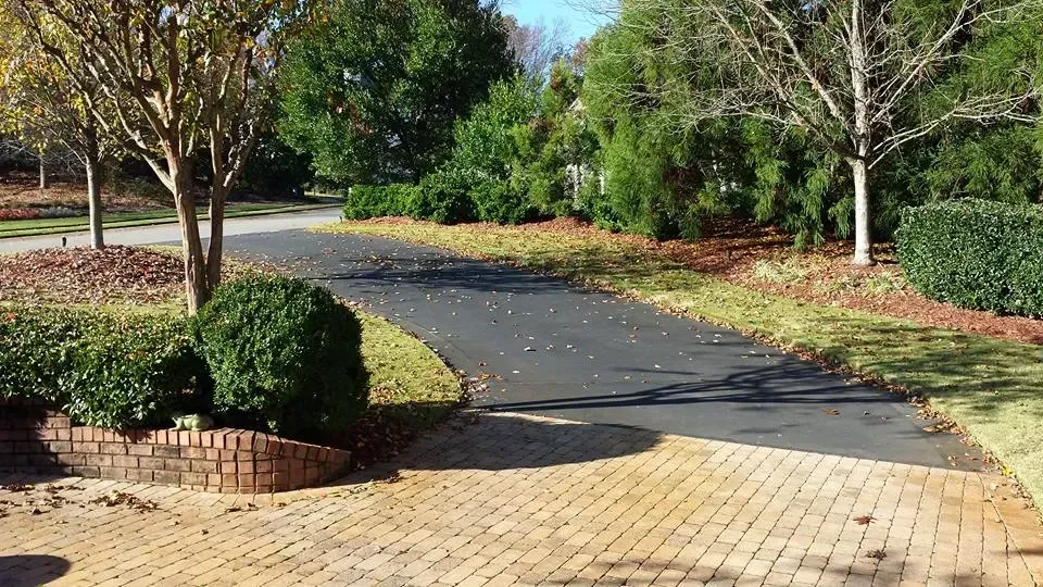 Asphalt driveway curving past bushes and trees, bordered by a brick patio and fall leaves.