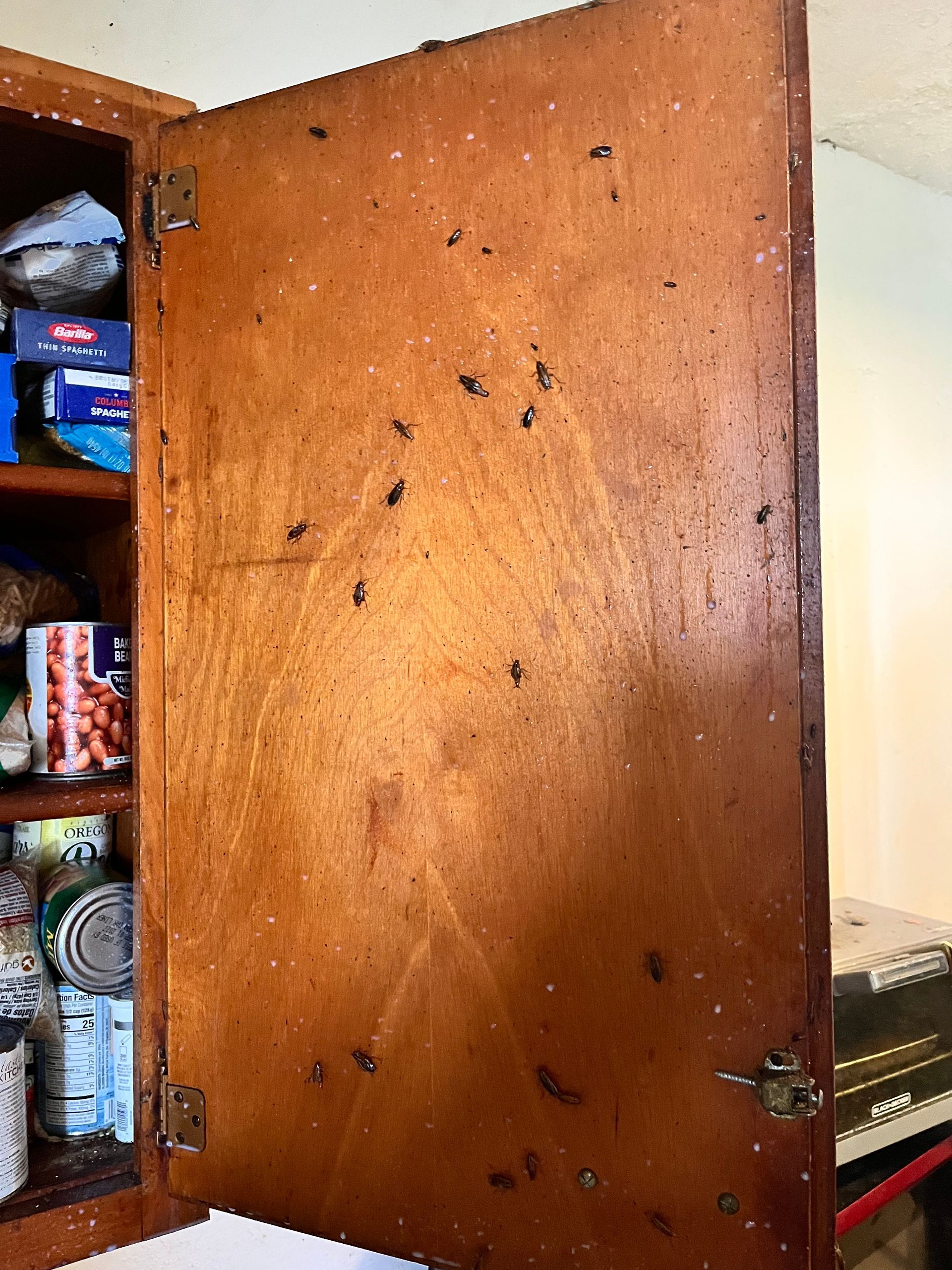Open wooden cabinet door with visible contents inside.