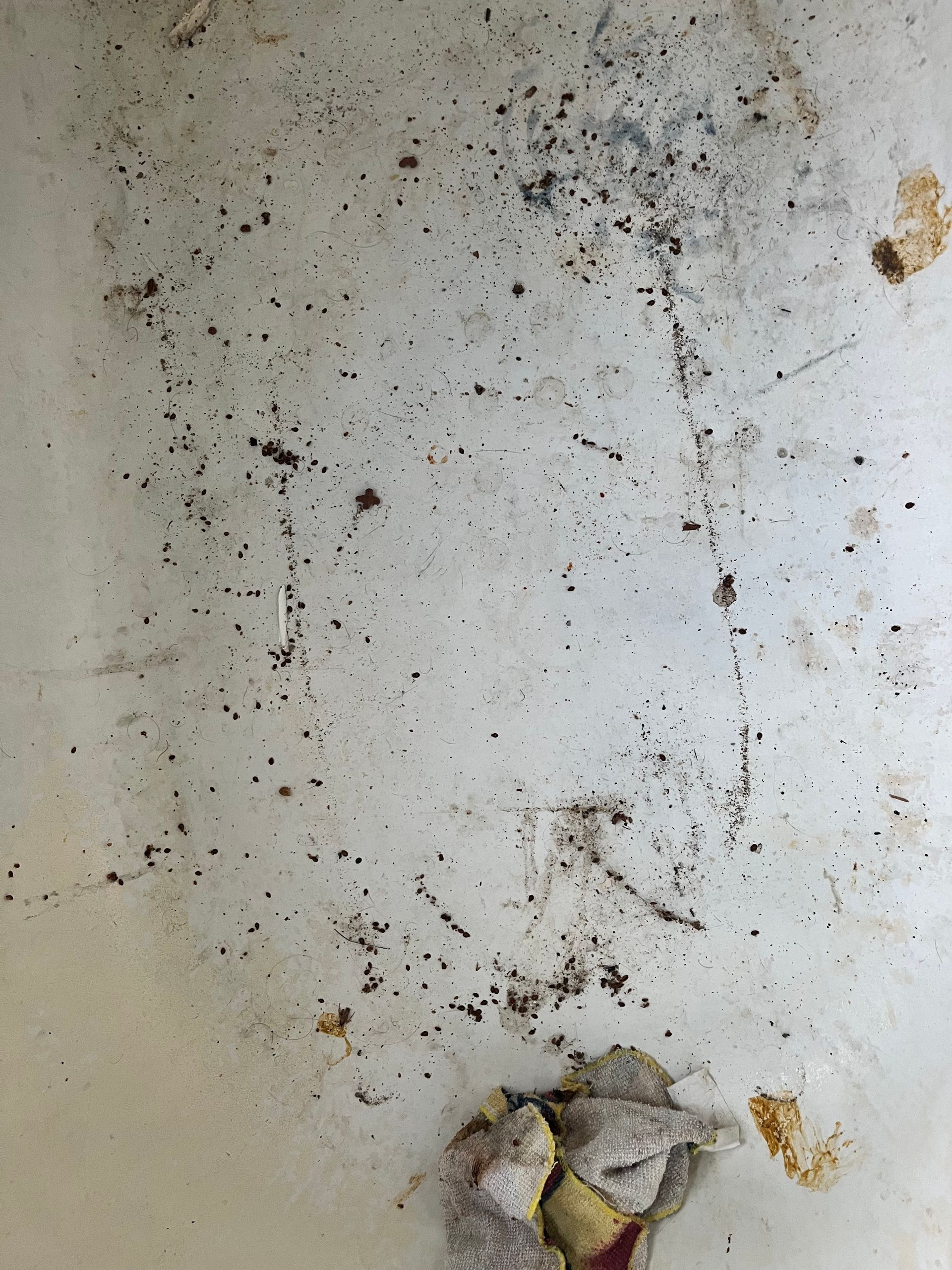 Scratched and stained metal surface with scattered dark spots and torn material at the bottom.