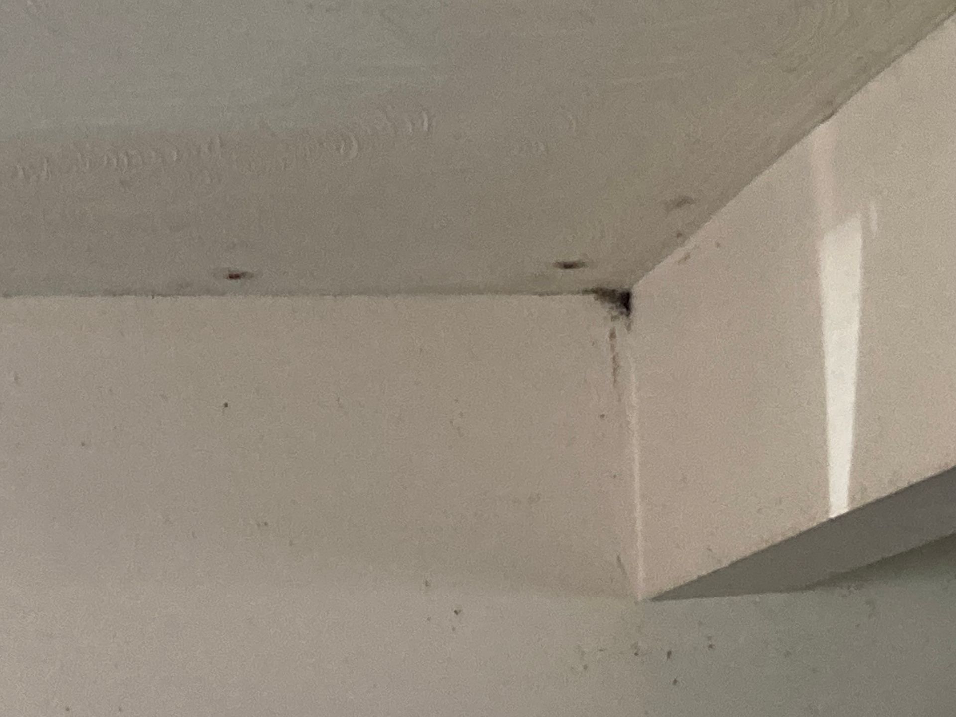 Corner of a wall and ceiling, beige and off-white, with some dark spots.