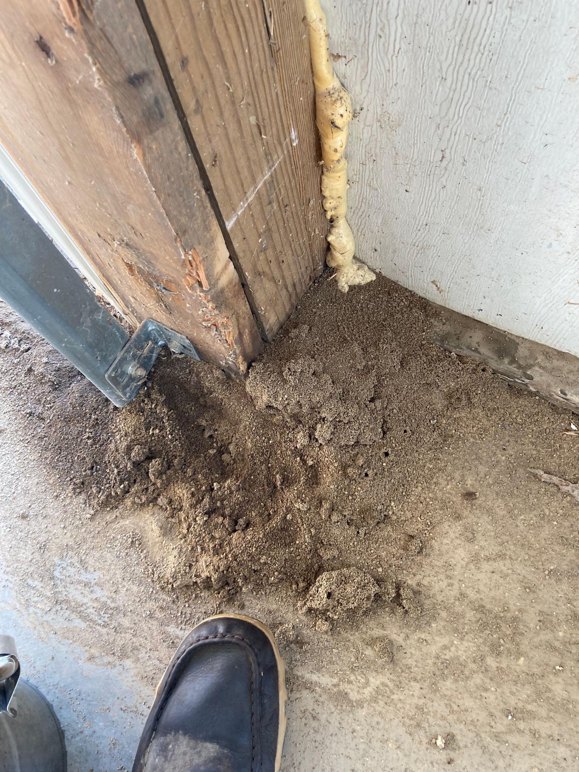 Debris pile at the base of a wall corner, near a shoe.