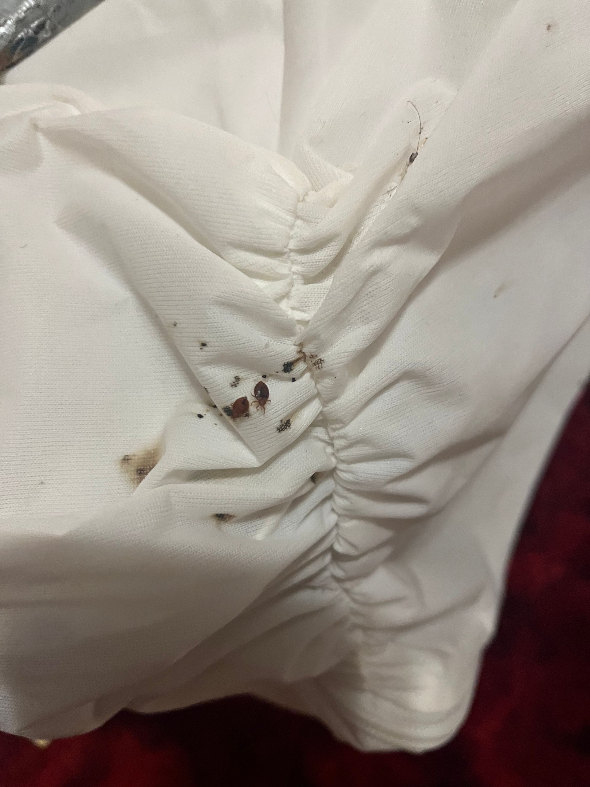 Close-up of a white fabric with several small, dark brown stains near gathered detailing.