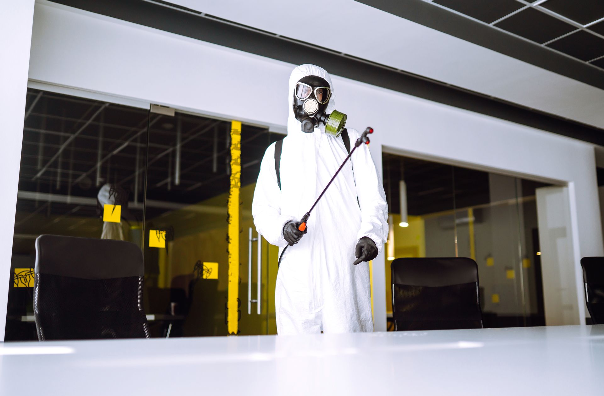 best pest control in Ashland, OH 