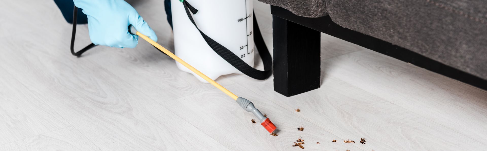 best pest control in Lexington, OH 