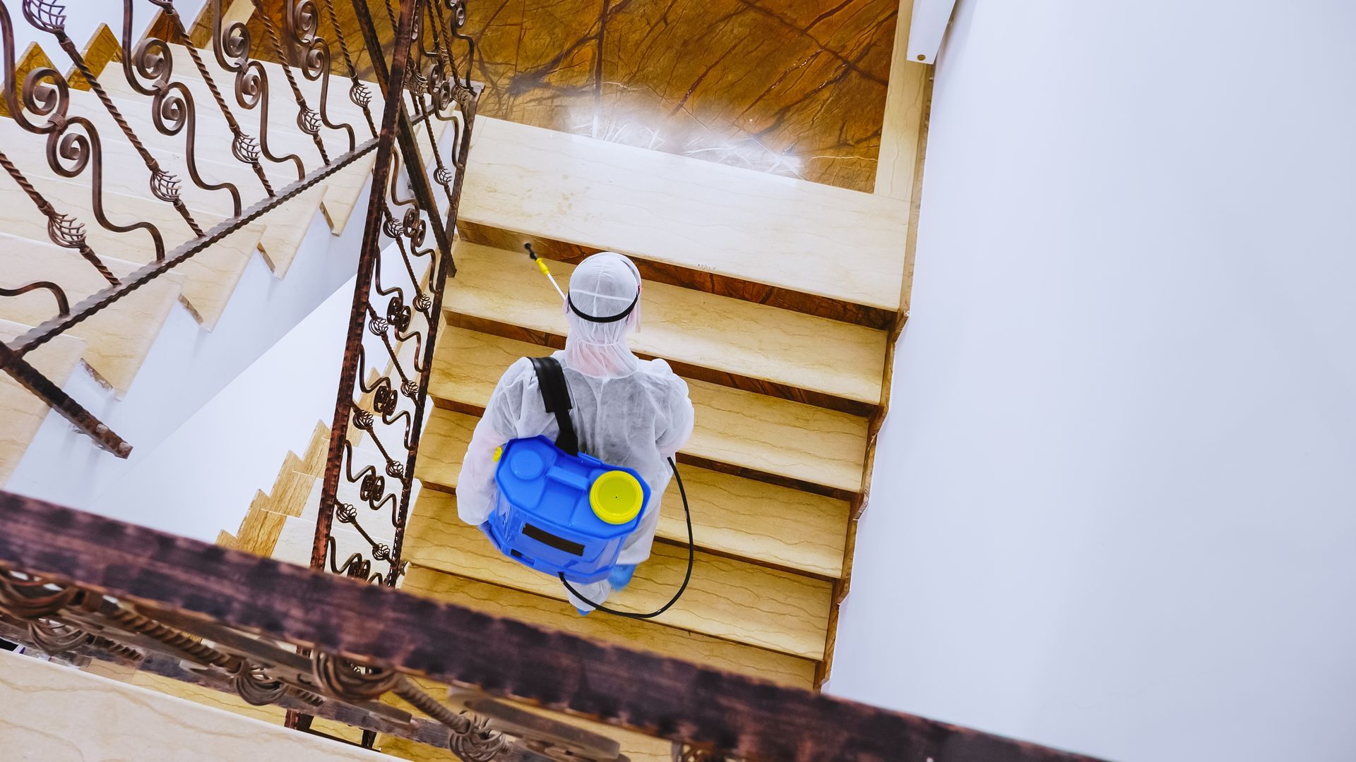 best pest control services in Shelby