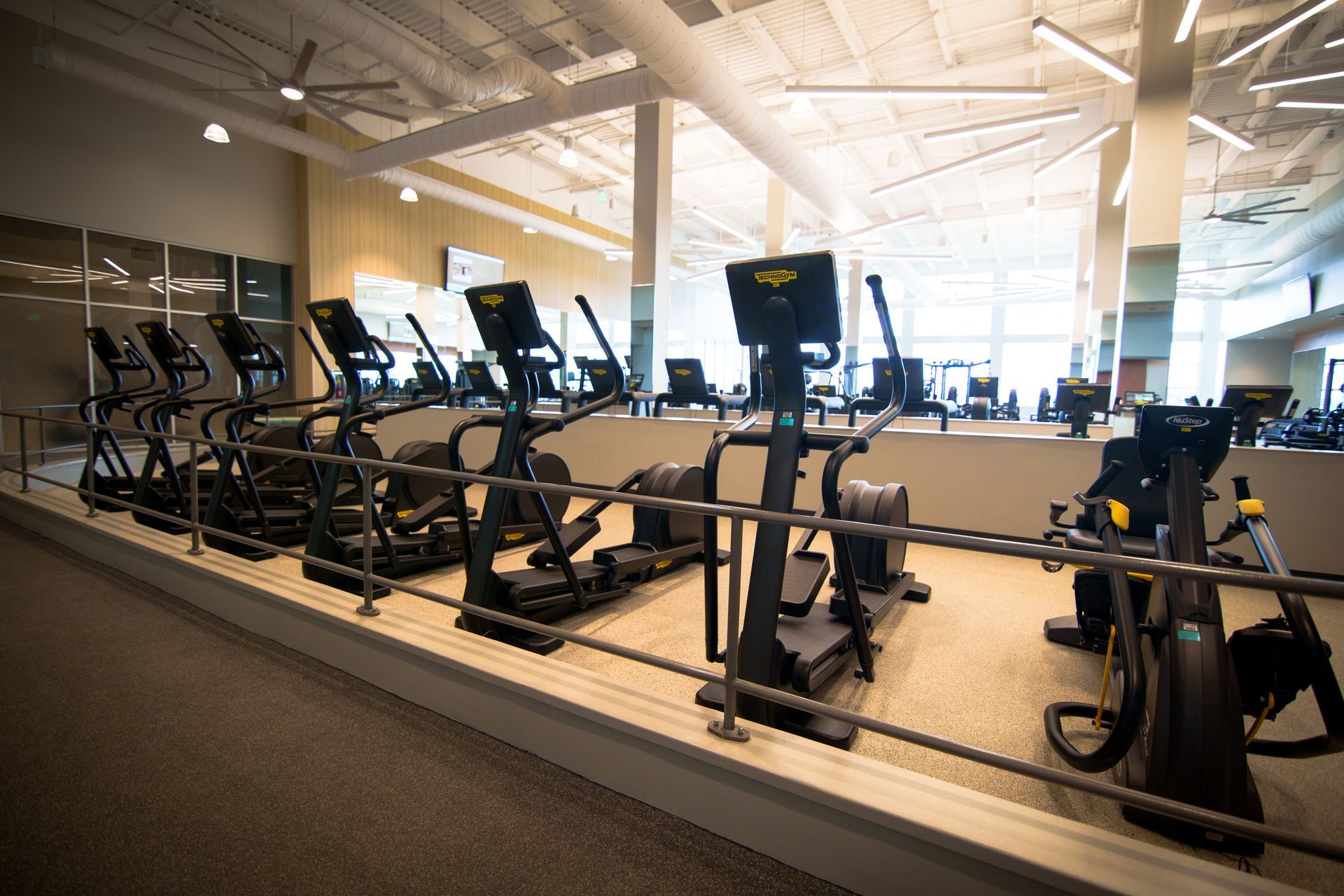 A row of ellipticals are lined up in a gym.
