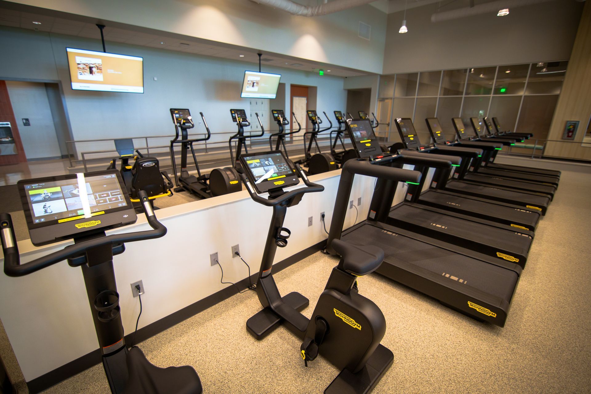 A row of treadmills and exercise bikes in a gym.