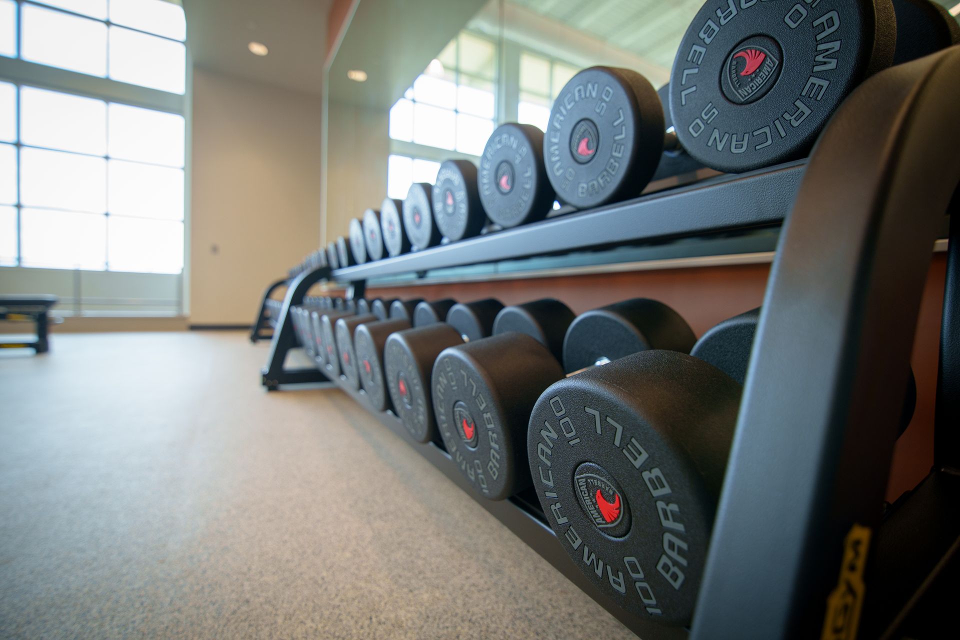 A row of dumbbells are lined up on a rack in a gym.