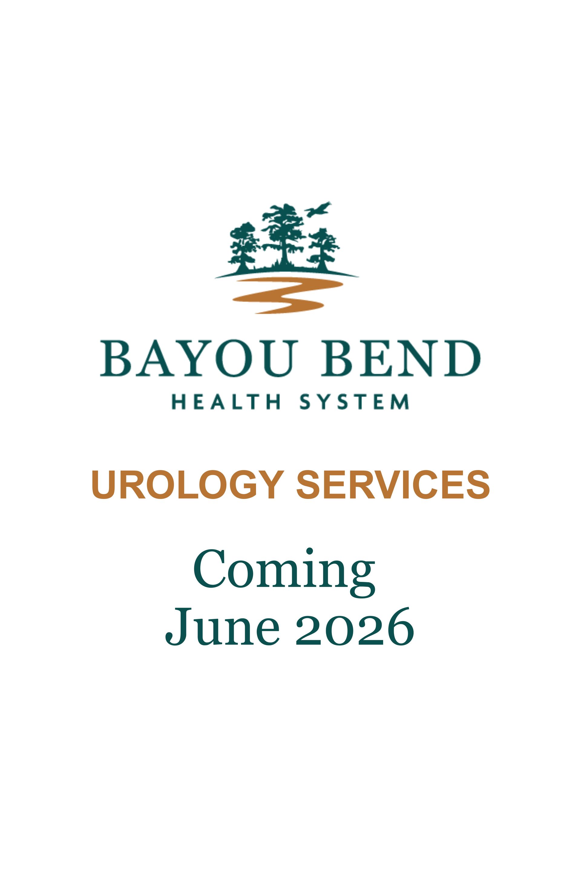 Lisa Brown, MD | Bayou Bend