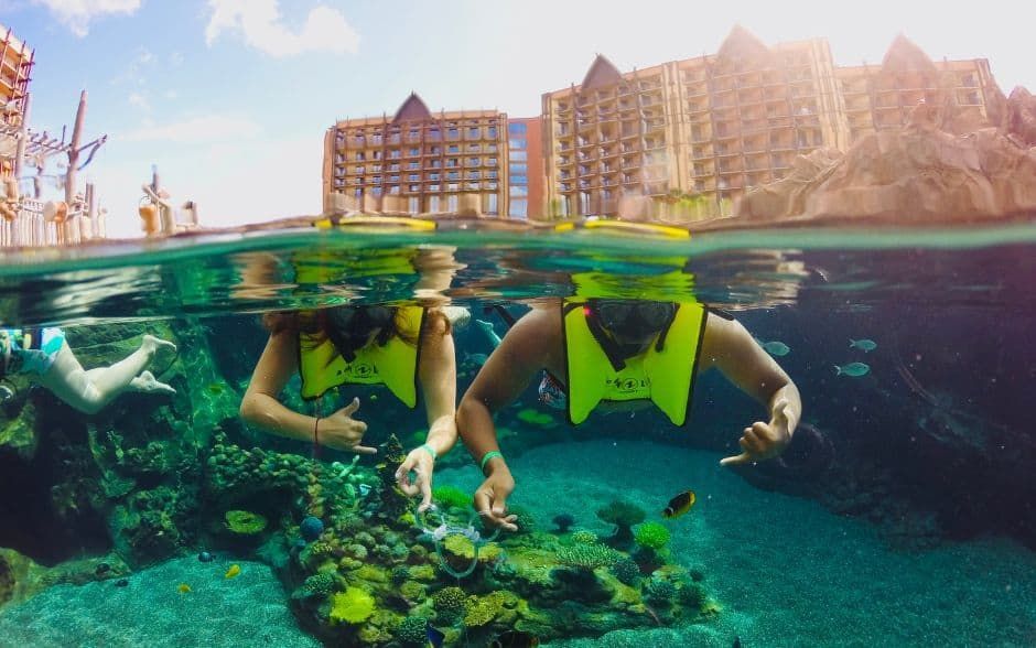 a large swimming pool surrounded by palm trees and umbrellas next to the ocean .