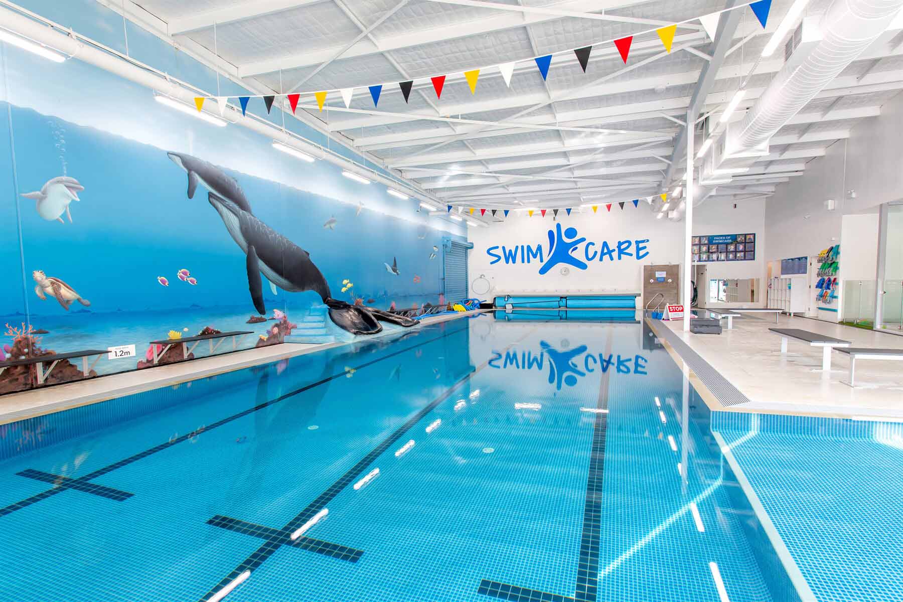 Swimming School in Coffs Harbour - SwimCare Swim School