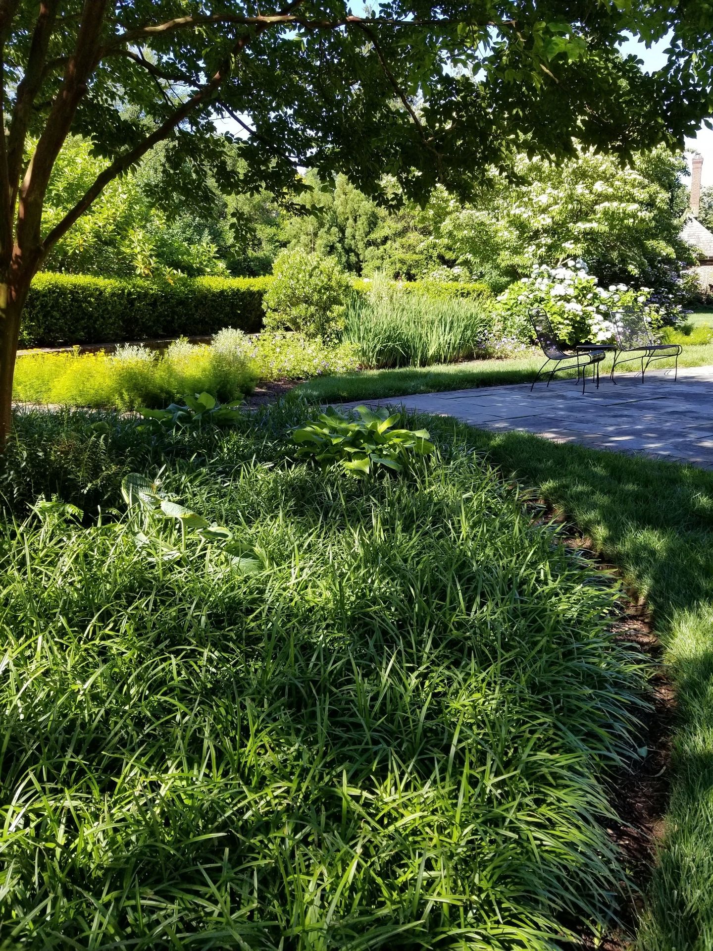 Landscape Designers Hockessin, DE Garden Design Group