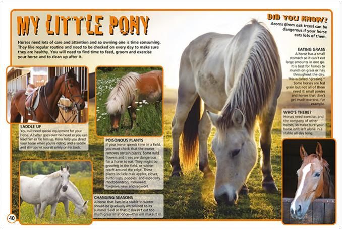 a book is open to a page titled my little pony