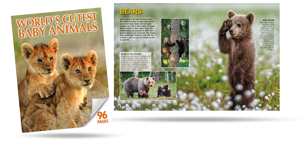 96 Cutest Baby Animals