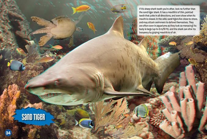 Battle of the Sharks!