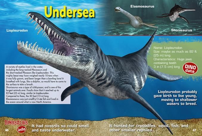 Dinosaur Lenticular stickers 48pp