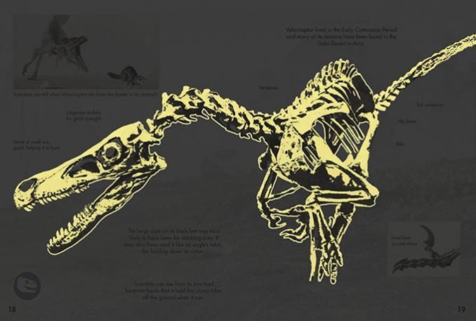 Dinosaurs and other prehistoric beasts are stripped back to basic with each spread packed with facts about these fascinating creatures.