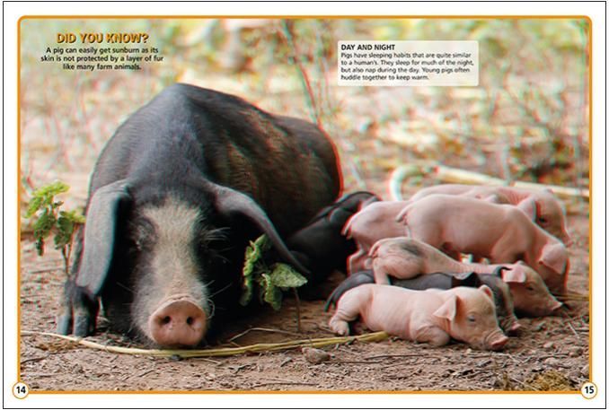 a pig and her piglets are laying in the dirt .