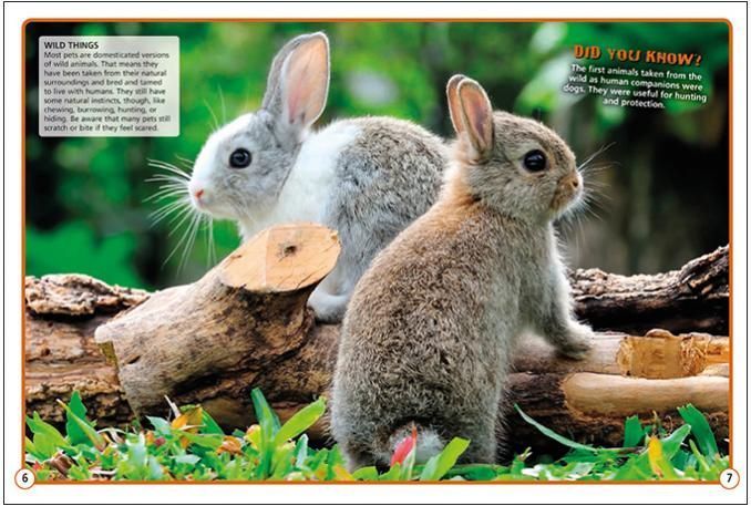 two rabbits are sitting on a log in the grass .