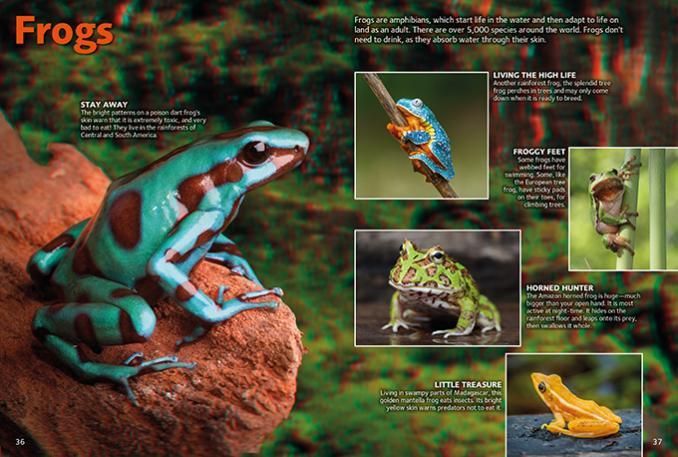 Reptiles and Amphibians in 3D