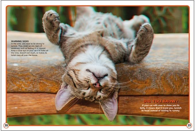 a cat is laying on its back on a wooden table .