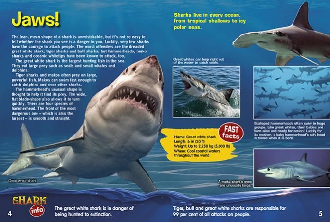 Shark Lenticular stickers