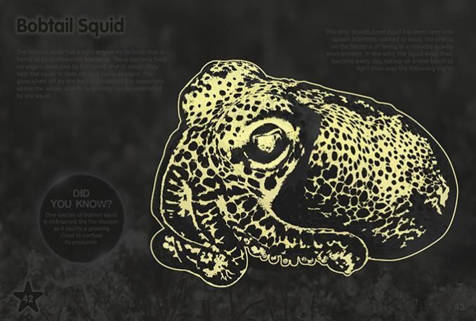 Find out why ocean animals light up in the dark depths and learn how they make and give out their own light.