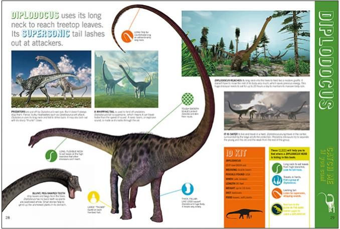 Meet the dinosaur. Study the clues.