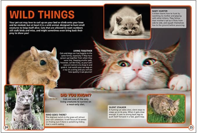 a book is open to a page that says wild things