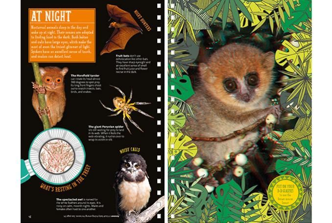 Jungle Explorer's Survival Guide