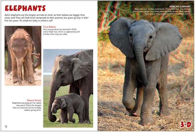 a book is open to a page about elephants