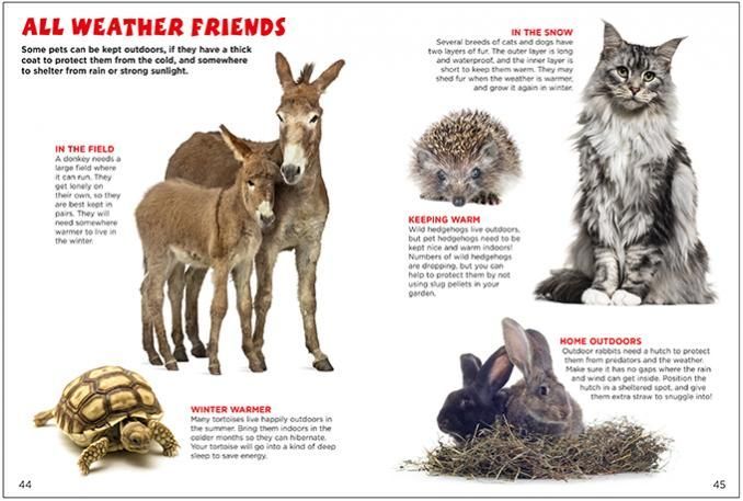 a book is open to a page that says all weather friends