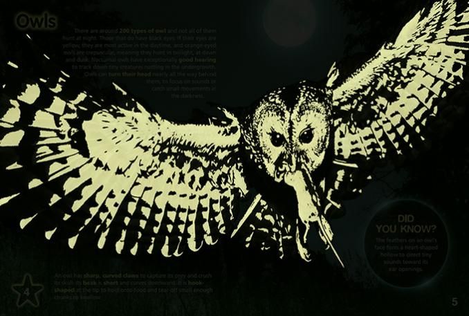 a drawing of an owl with the word owls on the bottom