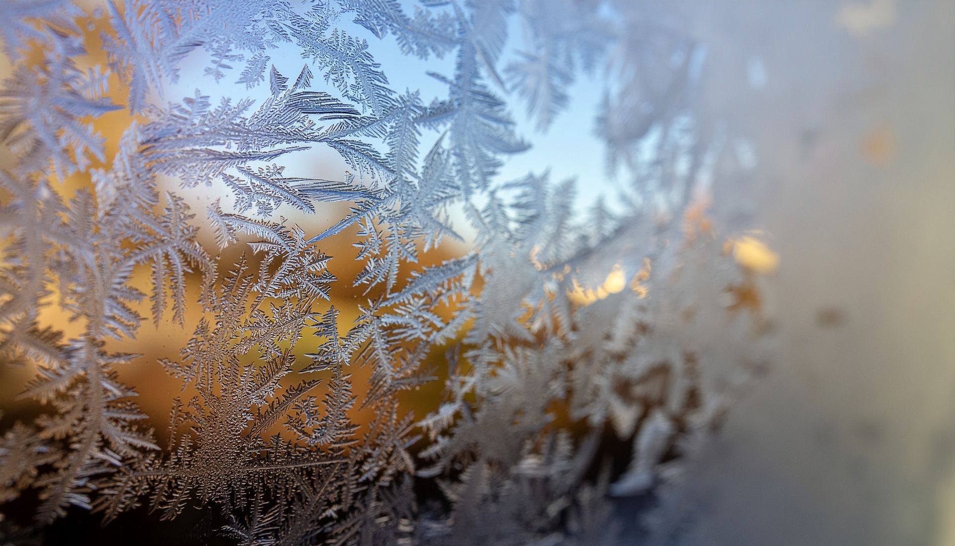 Understanding Your Electric Bill 