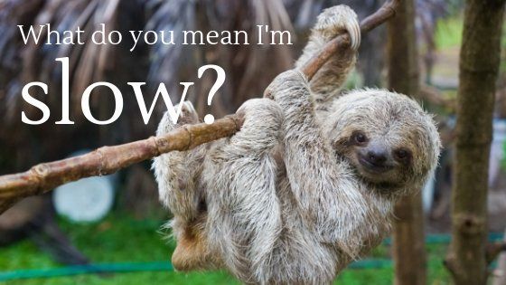 Speeding Up Your Website by Optimizing Your Images - Don't Be Slow as a Sloth