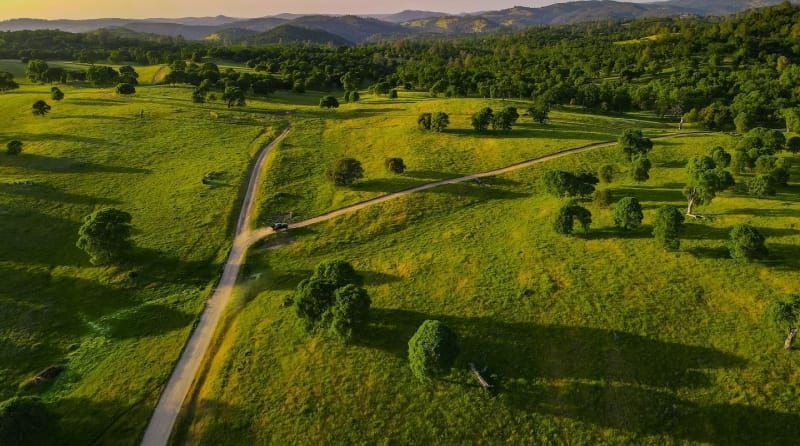 Cosumnes River Ranch