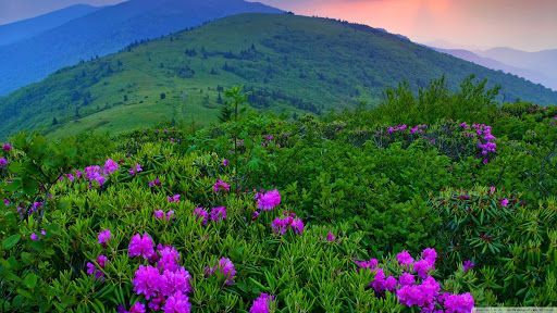 Green Mountain Vermont