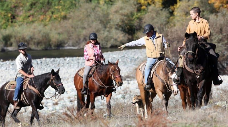 Marble Mountain Horseback Riding