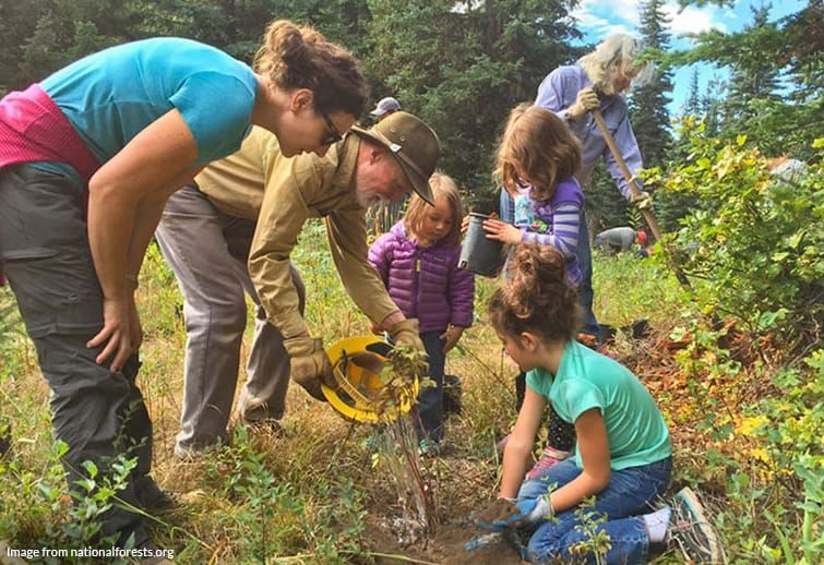 Group of kids planting trees for the National Forest Foundation