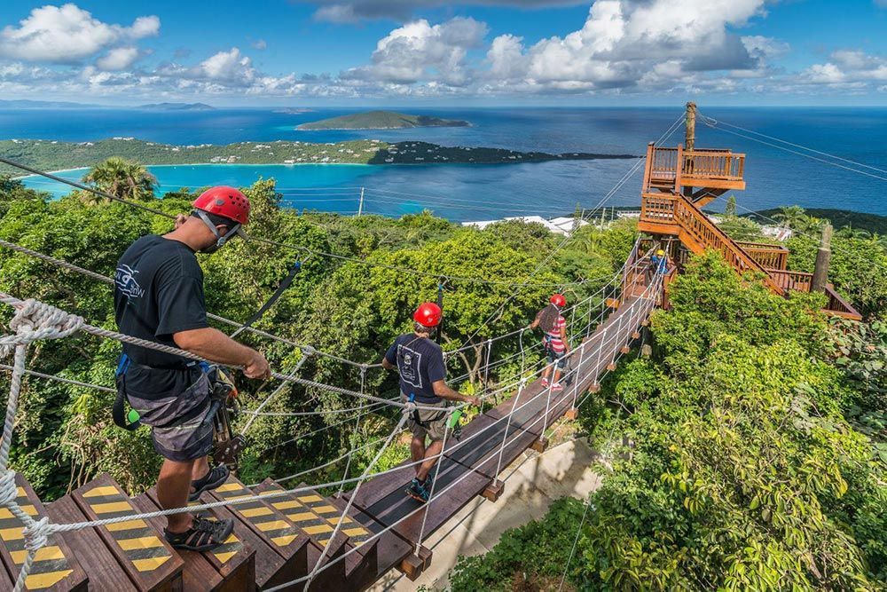 People Walking on Rope Bridge Tree Limin Extreme Zipline Tour St Thomas