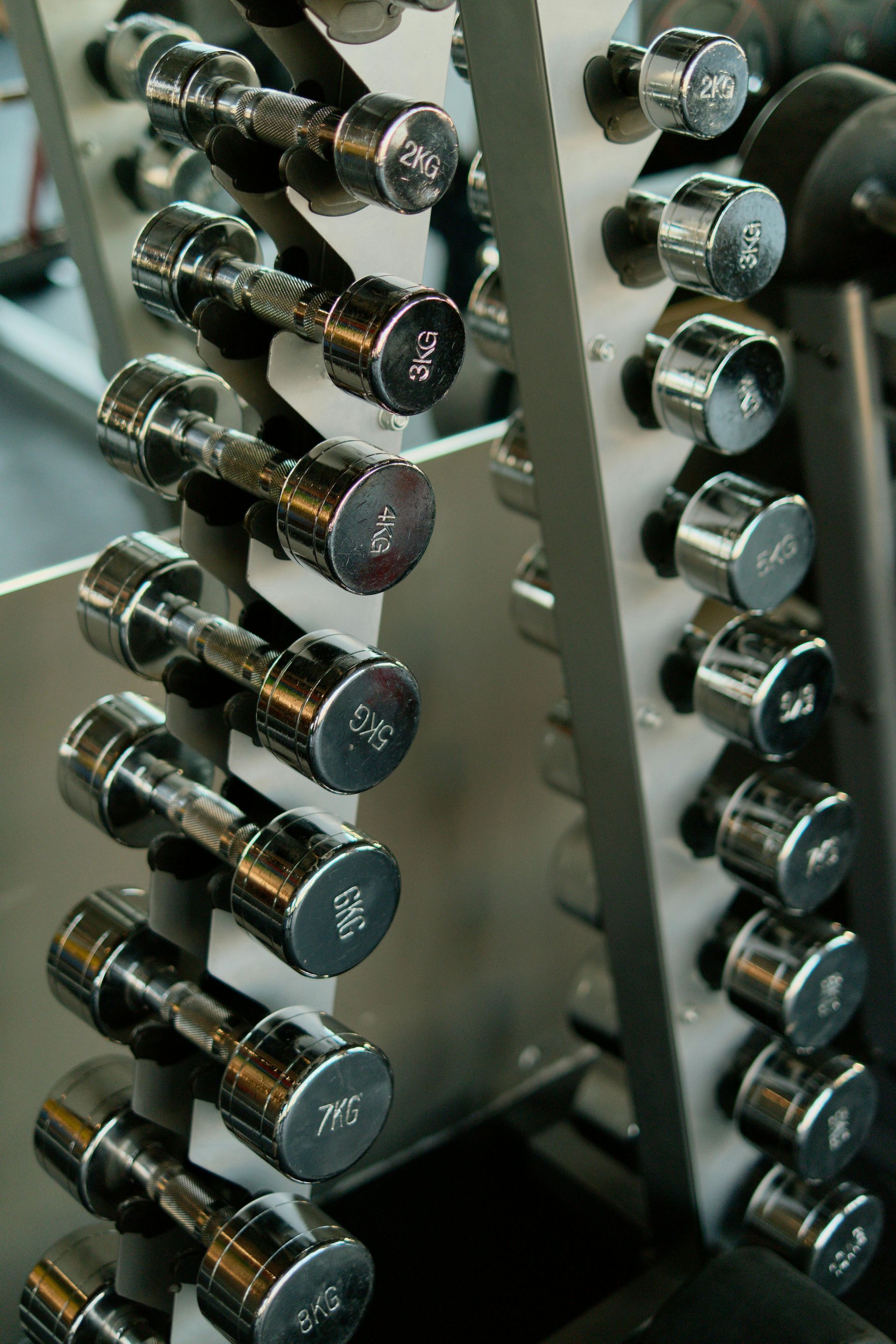 Rows of black dumbbells on a rack in a gym.