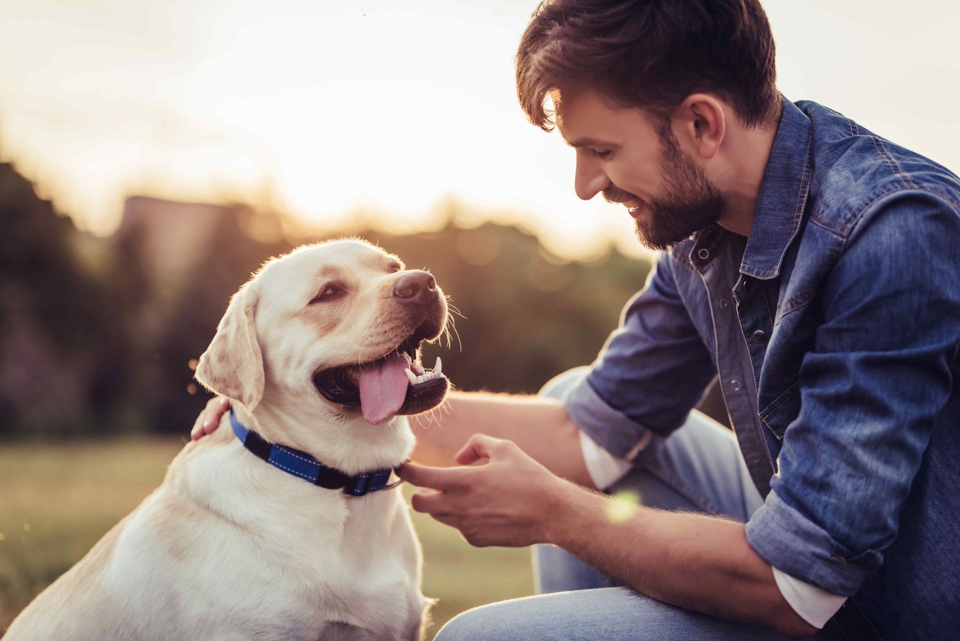 A man is petting a dog in a park.