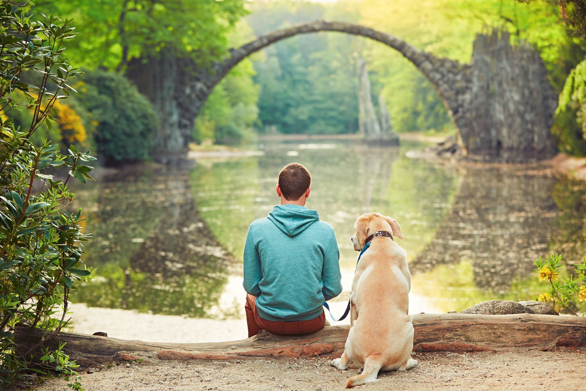 A man and a dog are sitting on a log looking at a bridge over a lake.