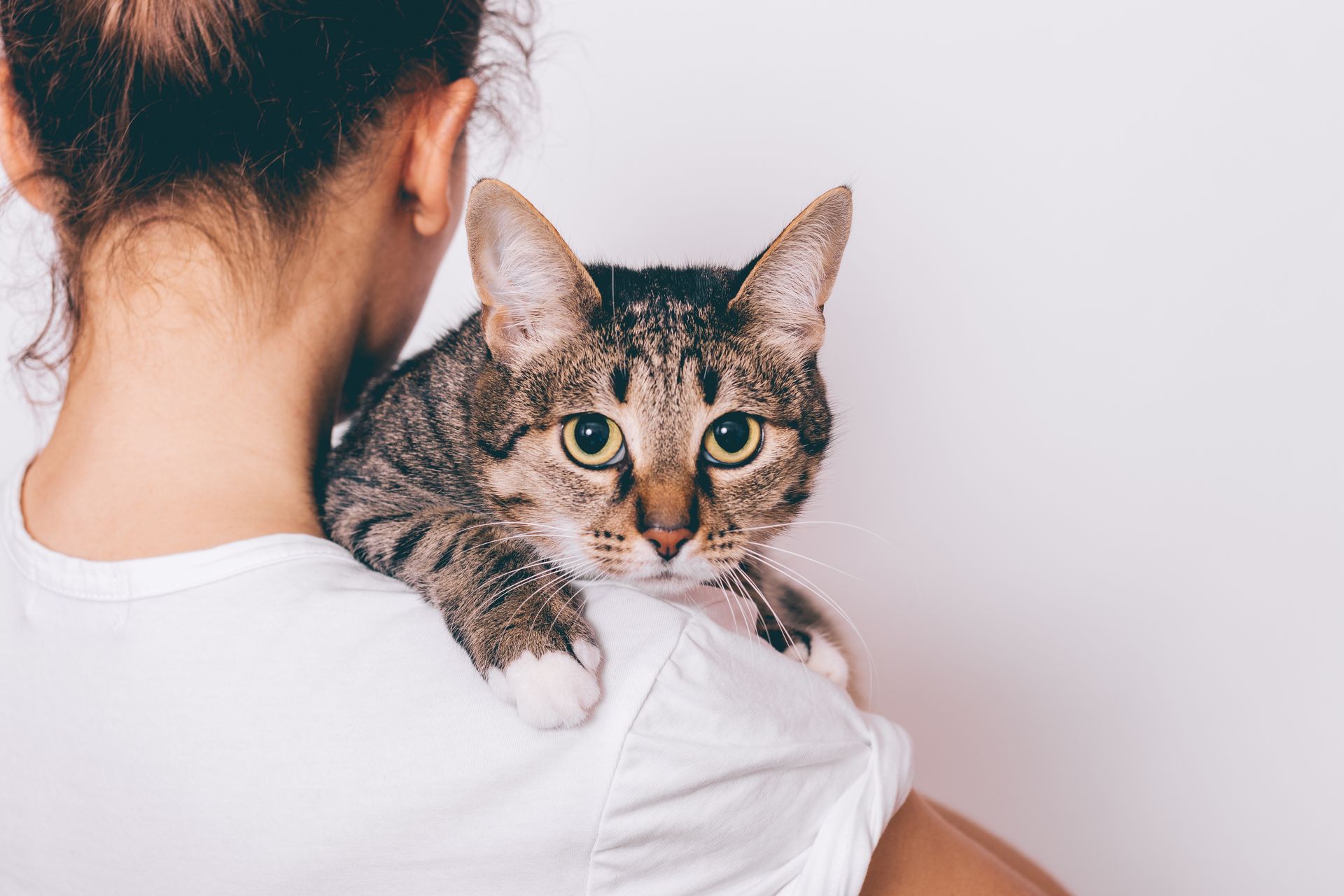 A woman is holding a cat on her shoulder.