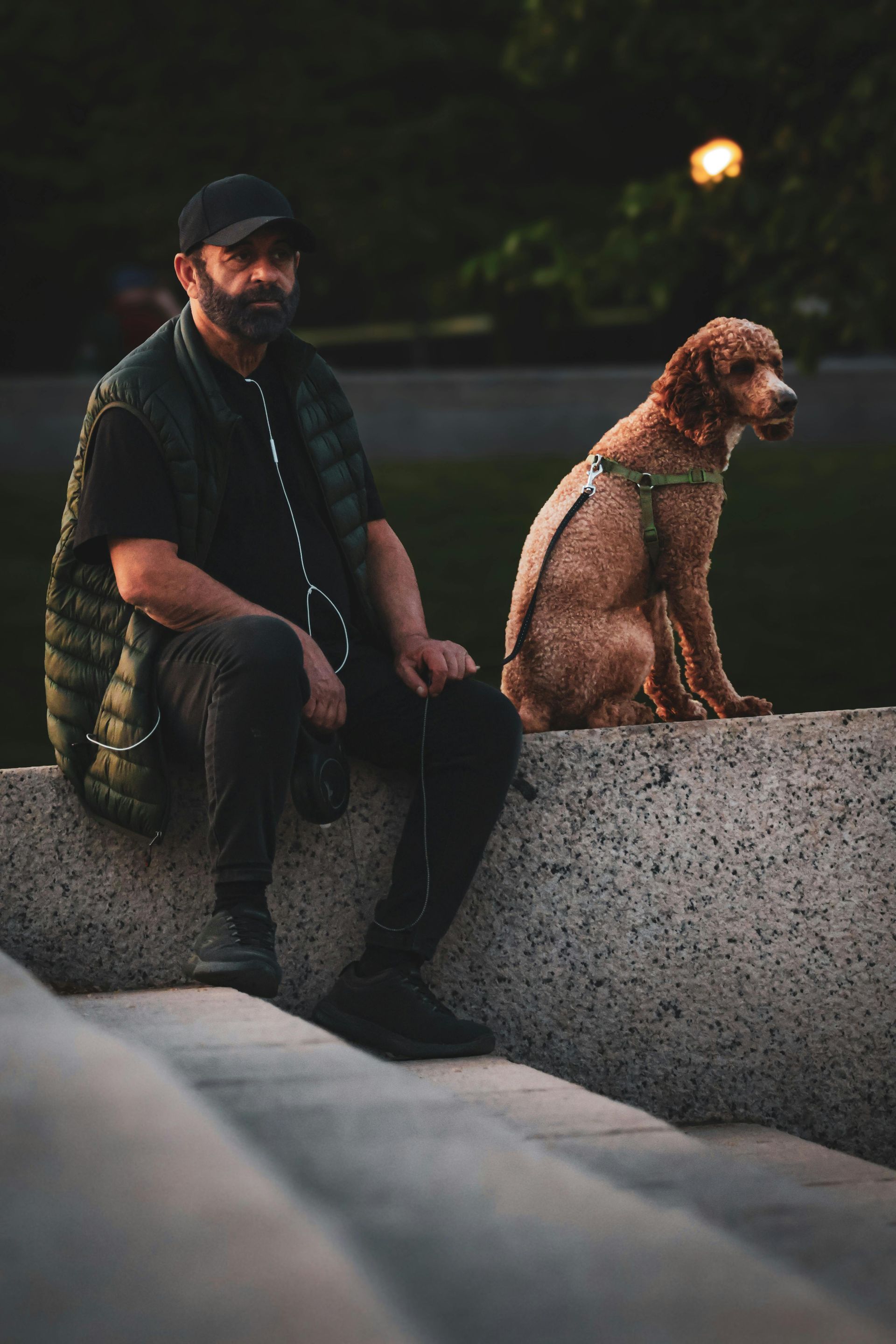 A man is sitting on a wall next to a dog.