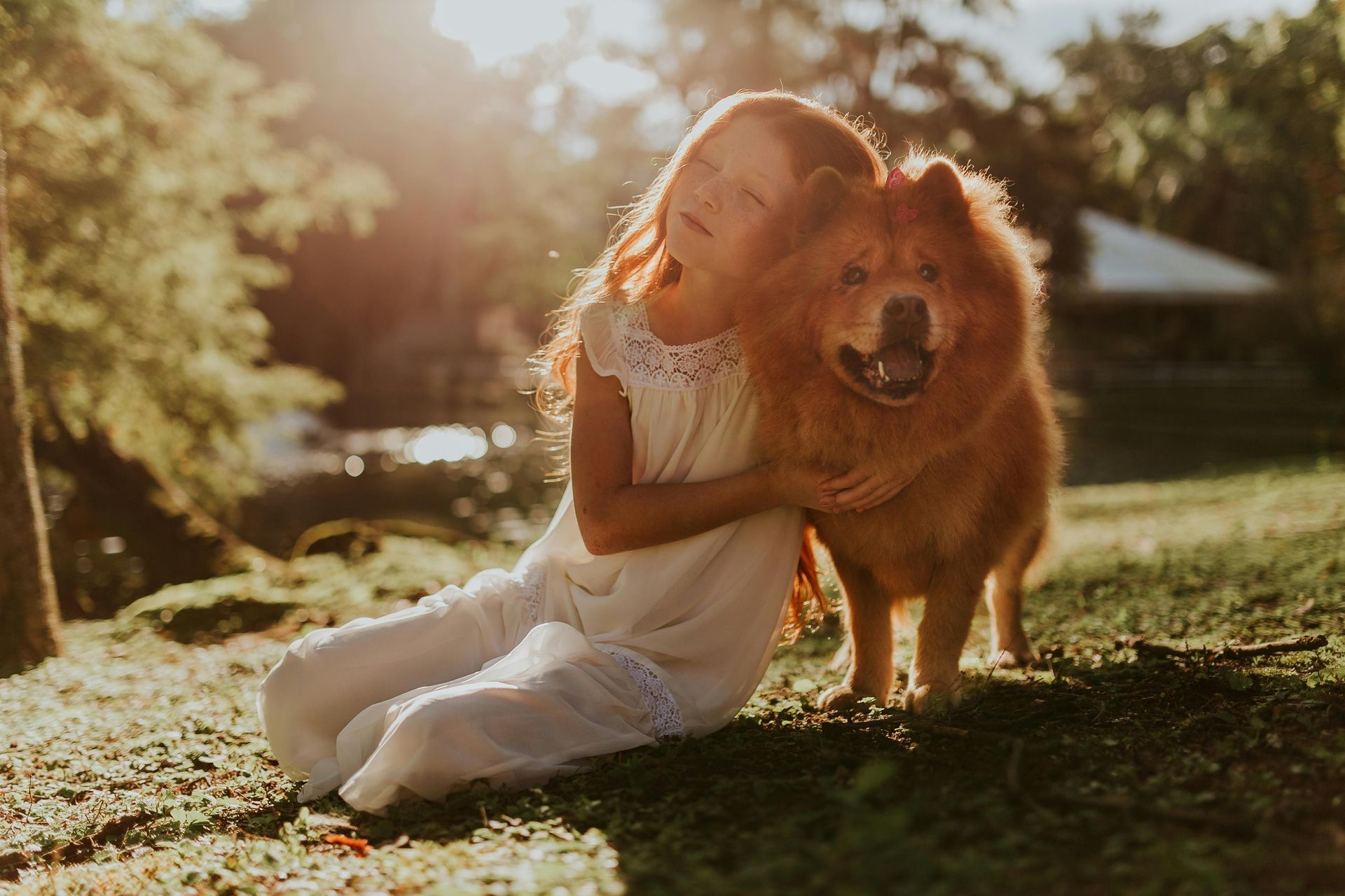 A little girl is sitting on the grass hugging a brown dog.