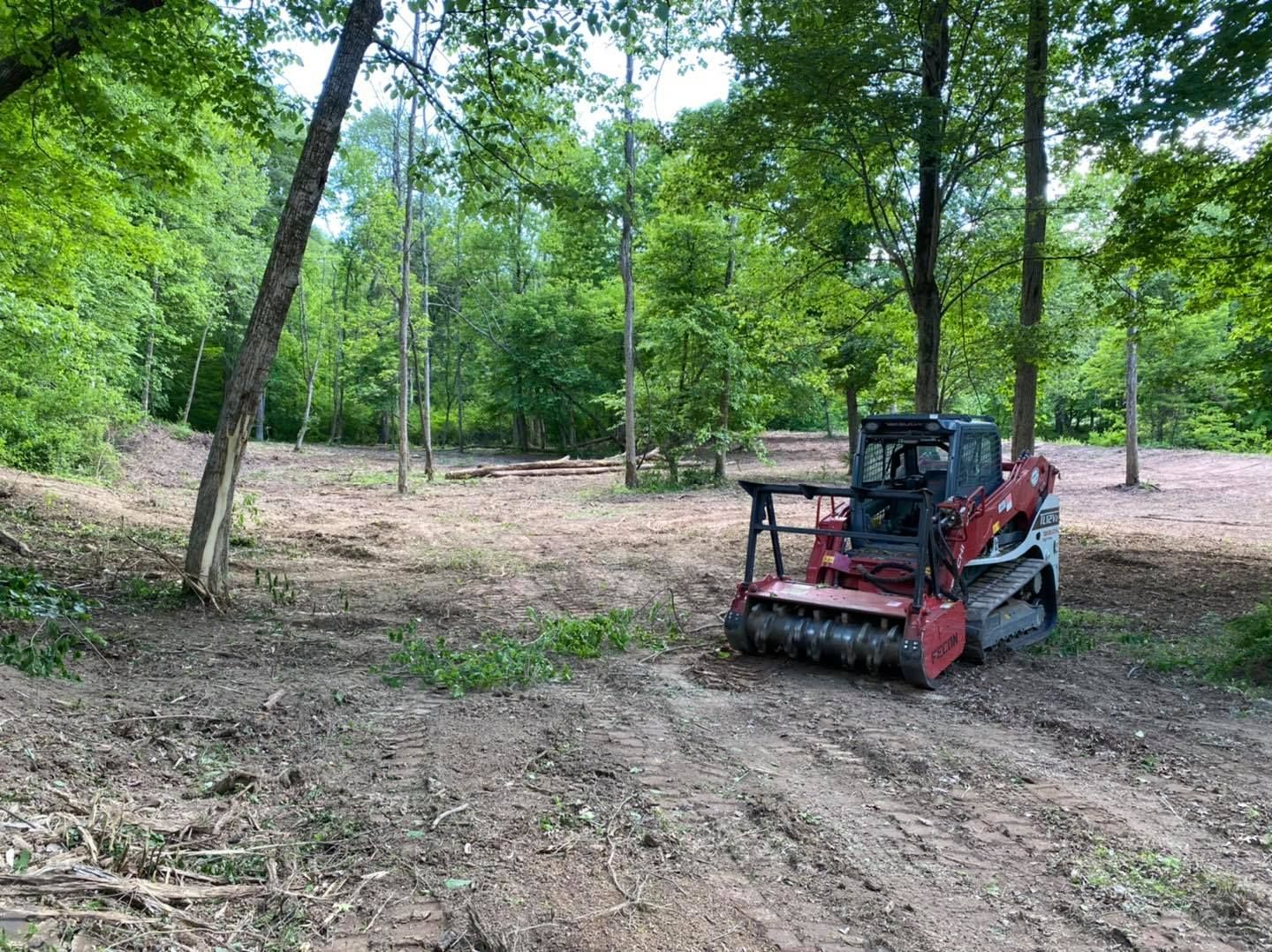 Forestry Mulching & Clearing in the Saugerties, Hudson Valley & Albany, NY